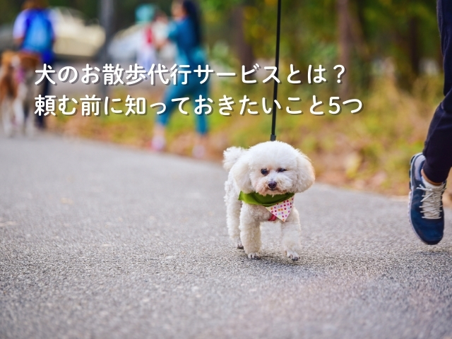 犬のお散歩代行サービスとは？頼む前に知っておきたいこと5つ